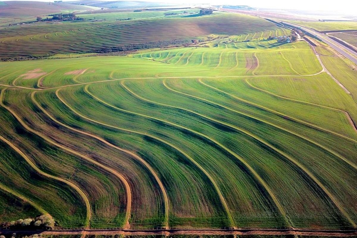 Vacant Land Residential For Sale in Mount Royal Golf Estate - Photo 5