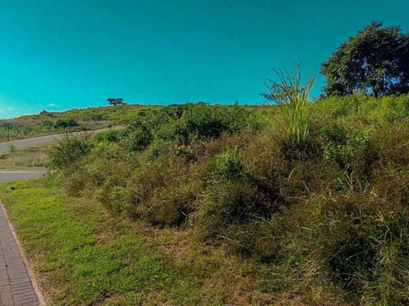 Vacant Land Residential For Sale in Zimbali Lakes Resort - Photo 8