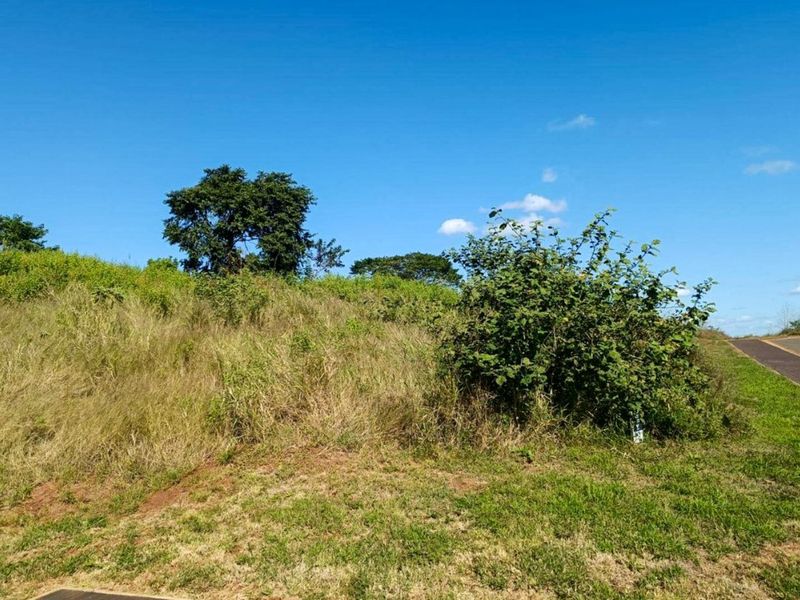 Vacant Land Residential For Sale in Zimbali Lakes Resort - Photo 2