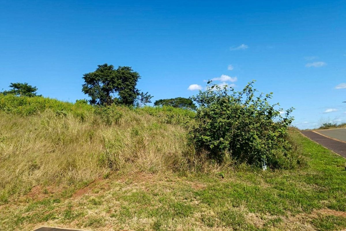 Vacant Land Residential For Sale in Zimbali Lakes Resort - Photo 2
