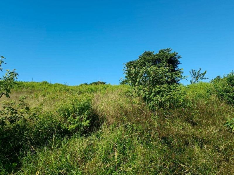 Vacant Land Residential For Sale in Zimbali Lakes Resort - Photo 7