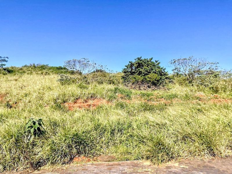 Vacant Land Residential For Sale in Zimbali Lakes Resort - Photo 3