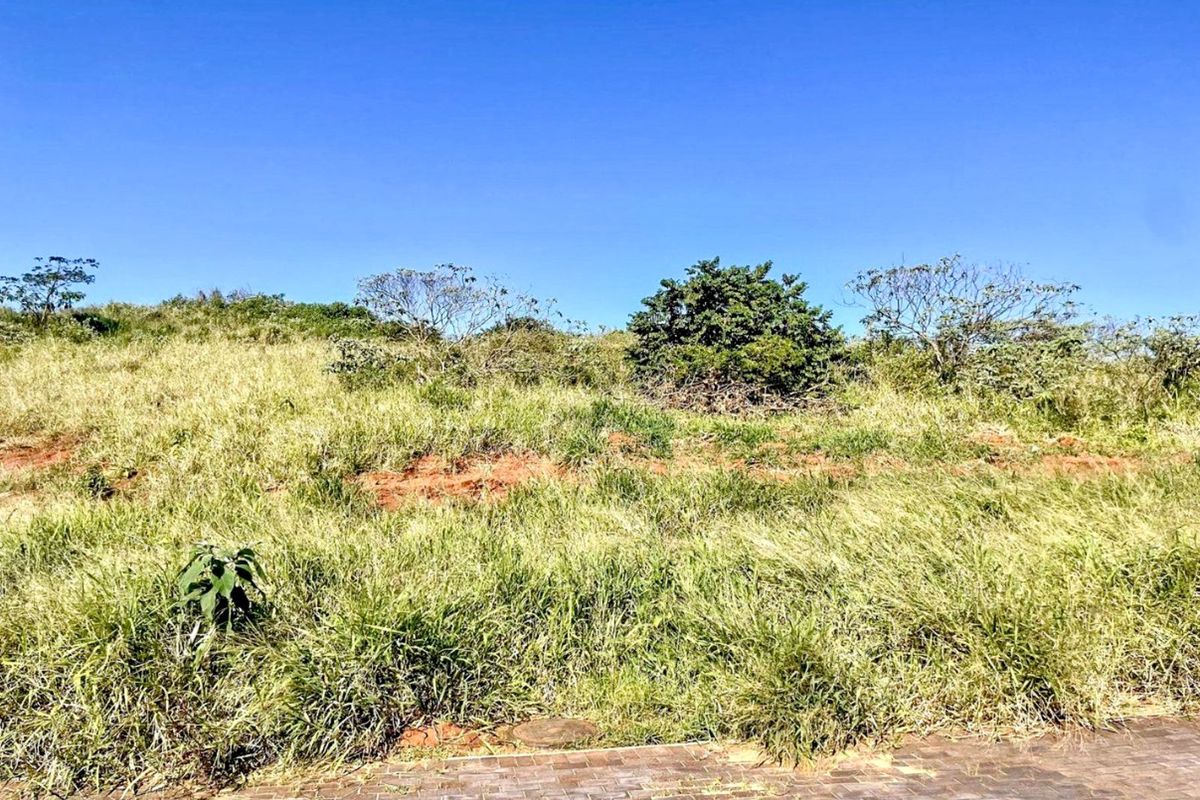 Vacant Land Residential For Sale in Zimbali Lakes Resort - Photo 3