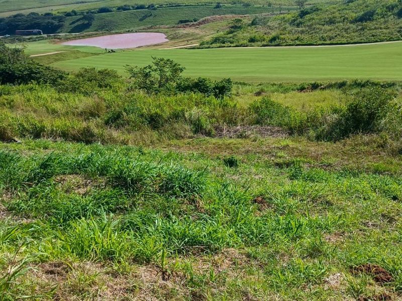 Vacant Land Residential For Sale in Zimbali Lakes Resort - Photo 9