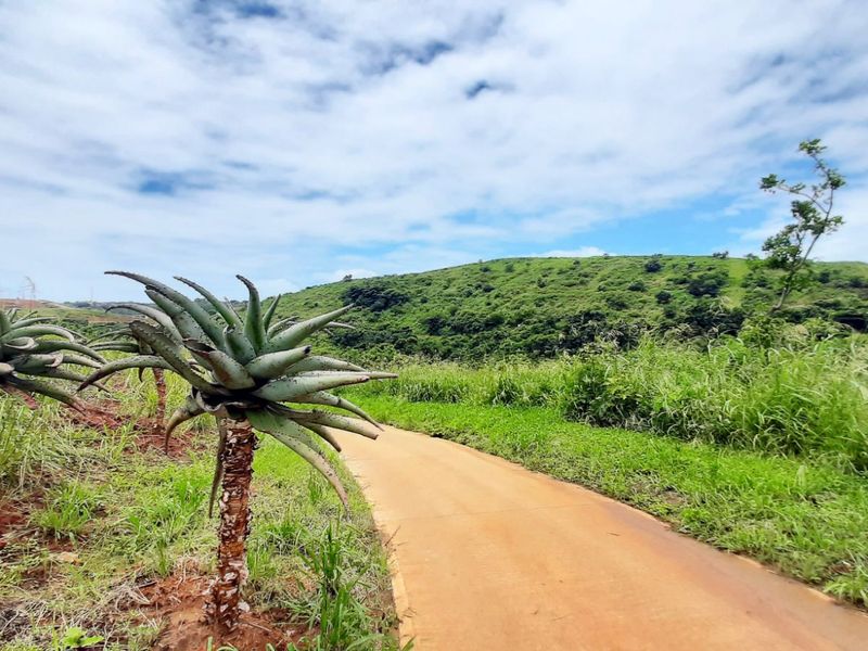 Vacant Land Residential For Sale in Zimbali Lakes Resort - Photo 7