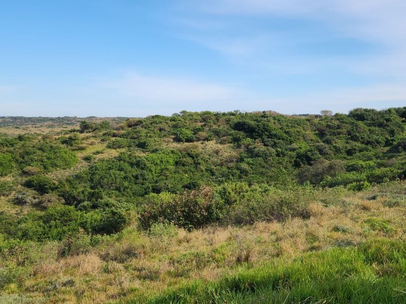 Vacant Land Residential For Sale in Khamanga Bay - Photo 10