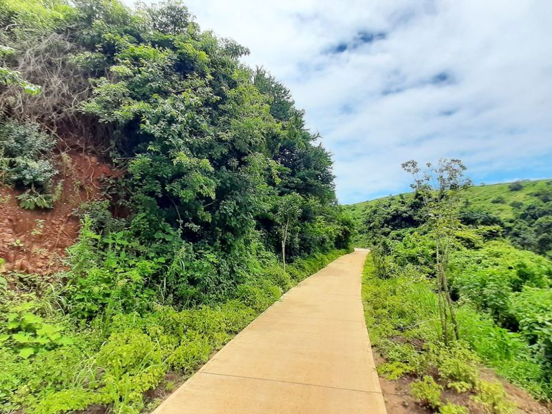 Vacant Land Residential For Sale in Zimbali Lakes Resort - Photo 6