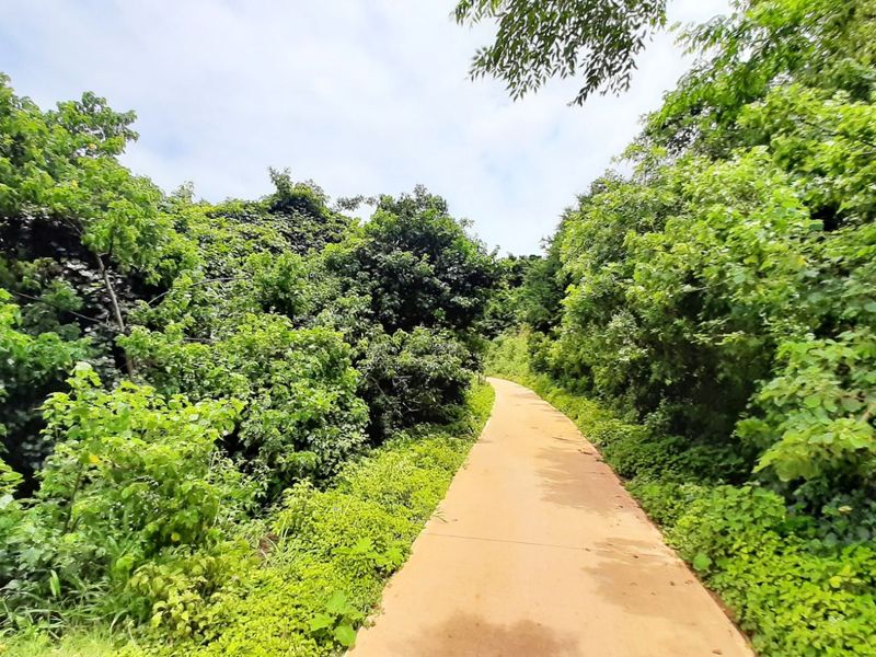 Vacant Land Residential For Sale in Zimbali Lakes Resort - Photo 5