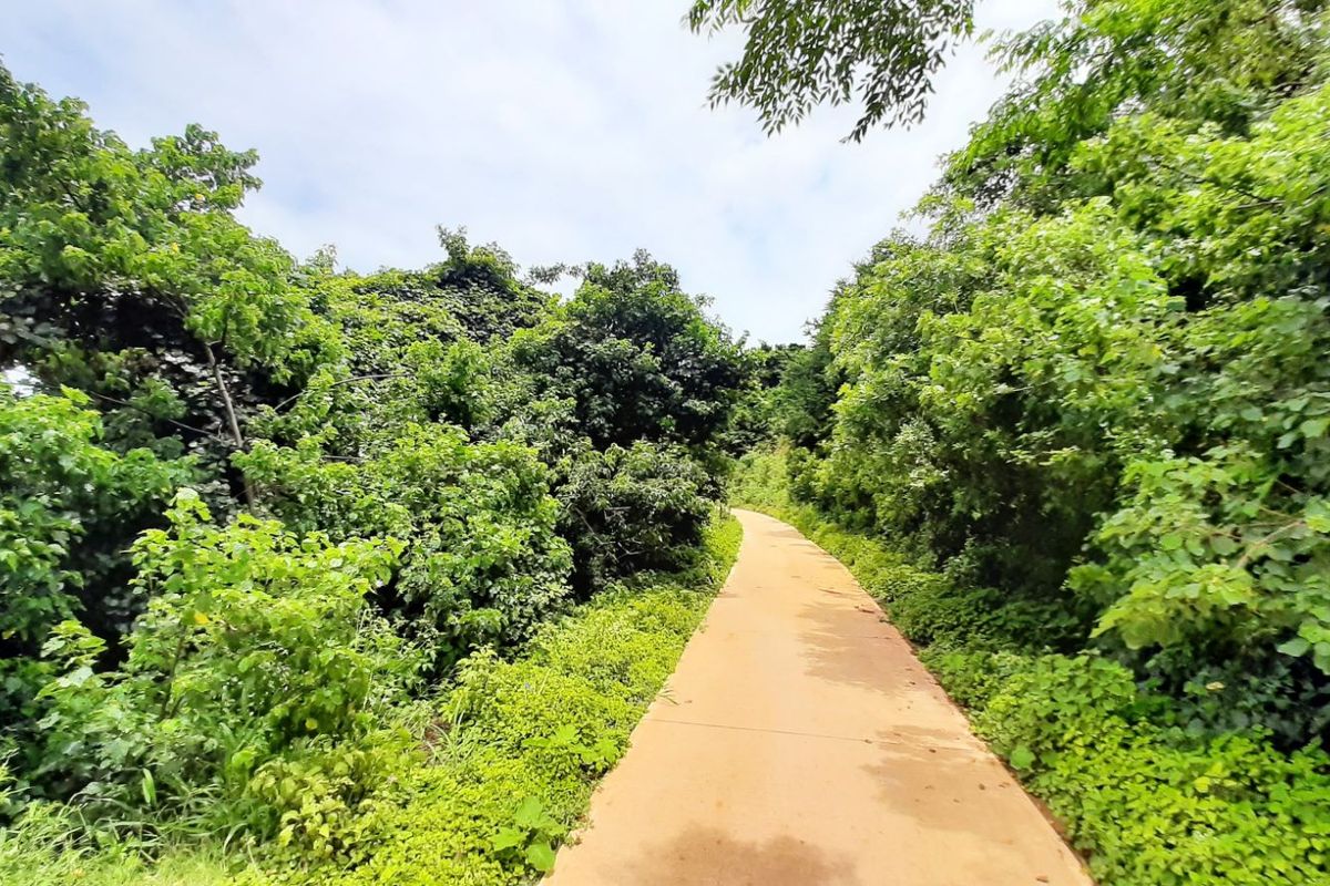 Vacant Land Residential For Sale in Zimbali Lakes Resort - Photo 5