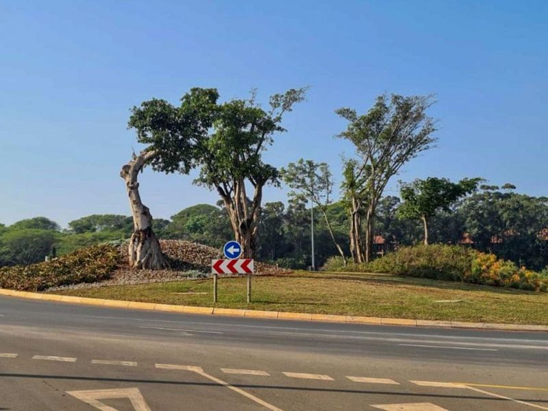 Vacant Land Residential For Sale in Zimbali Lakes Resort - Photo 8