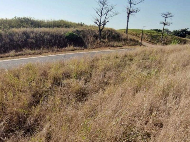 Vacant Land Residential For Sale in Zimbali Lakes Resort - Photo 7