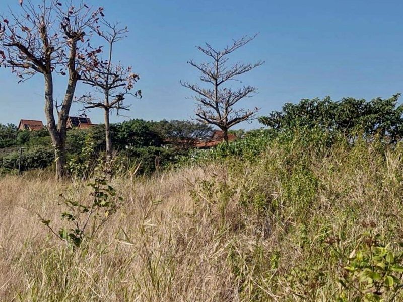Vacant Land Residential For Sale in Zimbali Lakes Resort - Photo 9