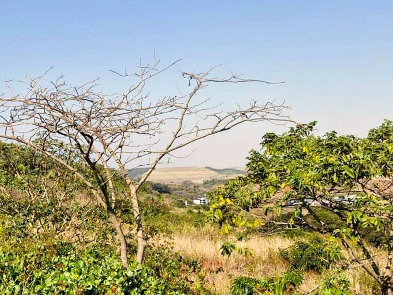 Vacant Land Residential For Sale in Zimbali Lakes Resort - Photo 4