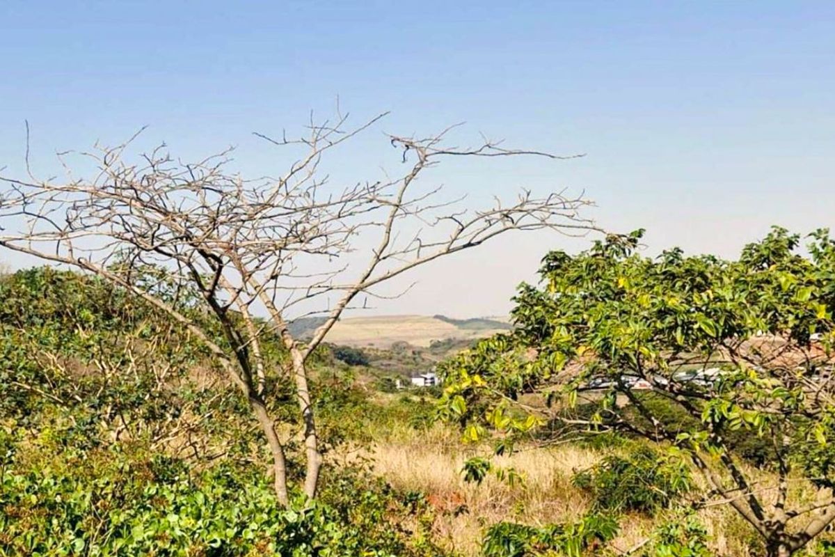 Vacant Land Residential For Sale in Zimbali Lakes Resort - Photo 4