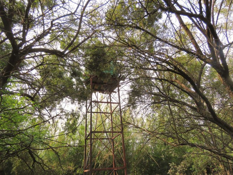 House For Sale in Gerardsville - Photo 3