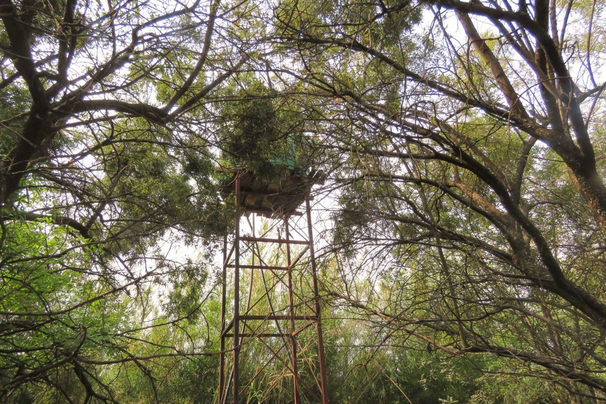 House For Sale in Gerardsville - Photo 3