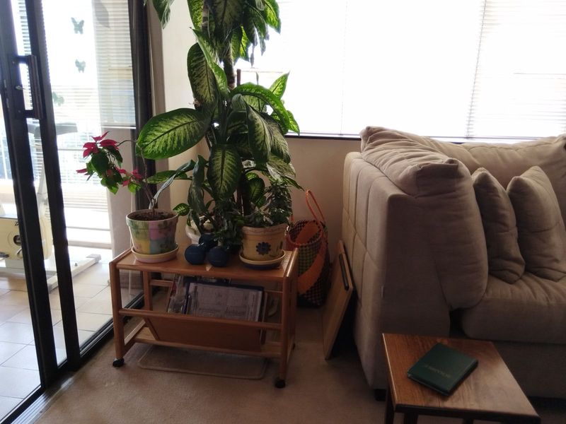 Apartment For Sale in Parktown - Photo 6