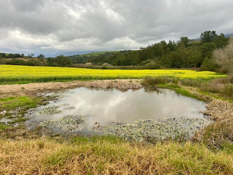 Farm For Sale in Riversdale Rural - Photo 8