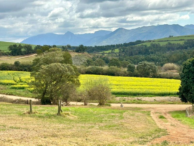 Farm For Sale in Riversdale Rural - Photo 4
