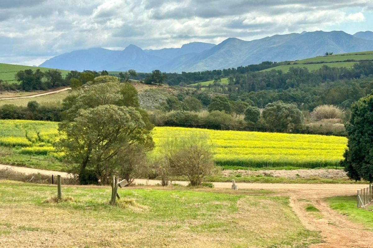 Farm For Sale in Riversdale Rural - Photo 4