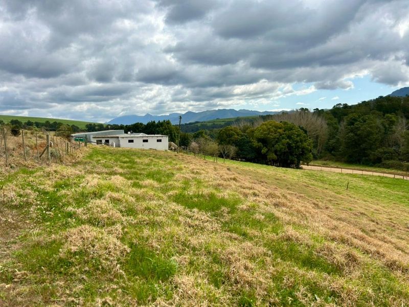 Farm For Sale in Riversdale Rural - Photo 5