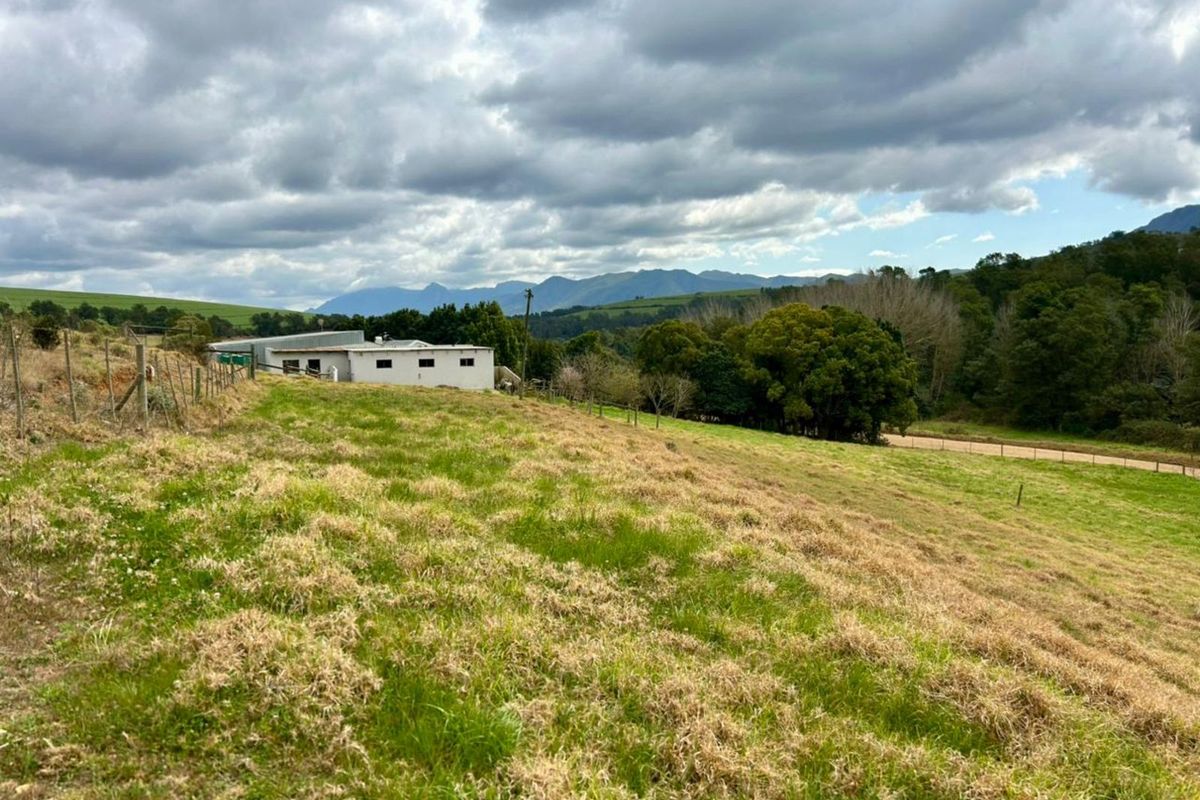 Farm For Sale in Riversdale Rural - Photo 5