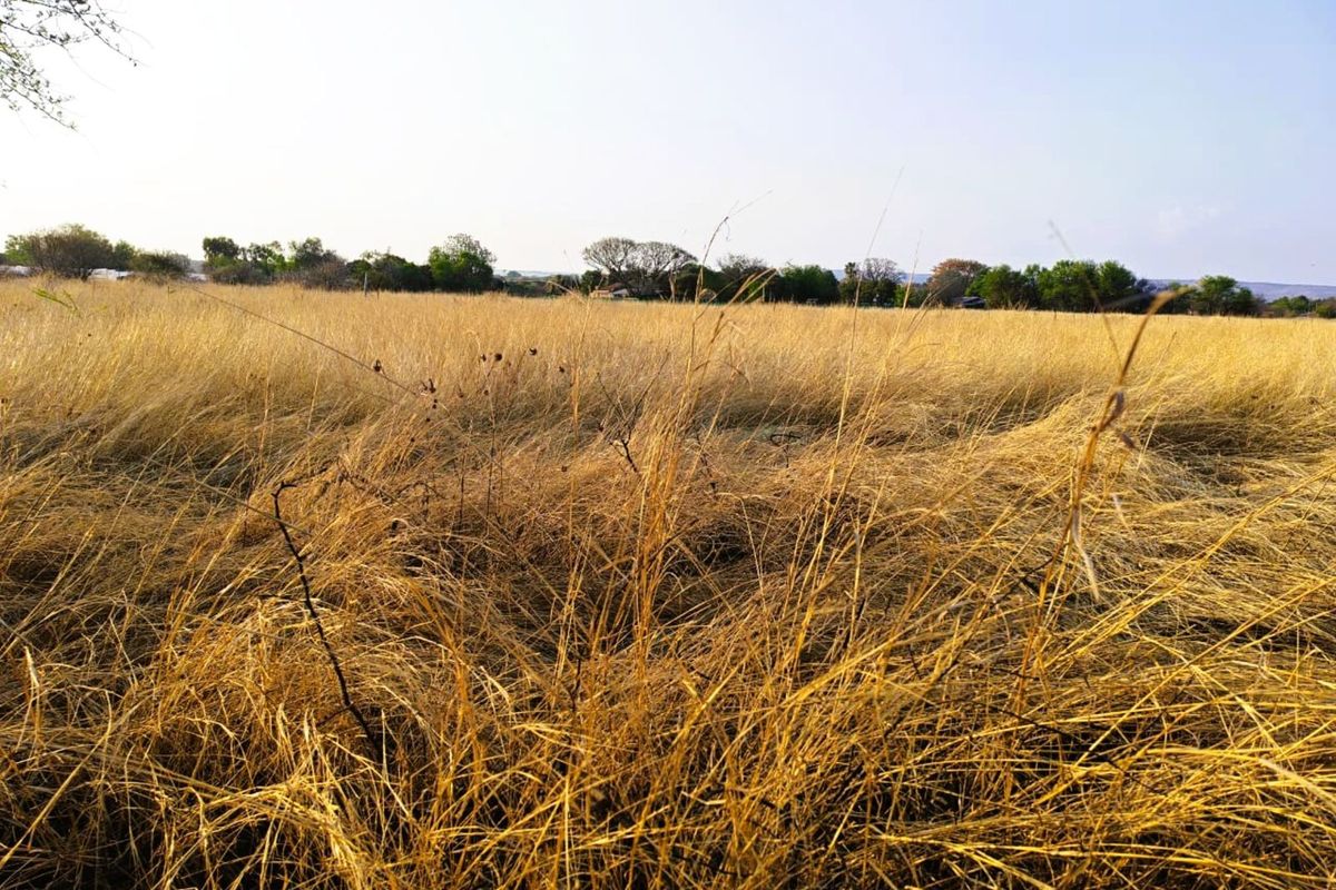 Vacant Land Residential For Sale in Modimolle Central - Photo 5