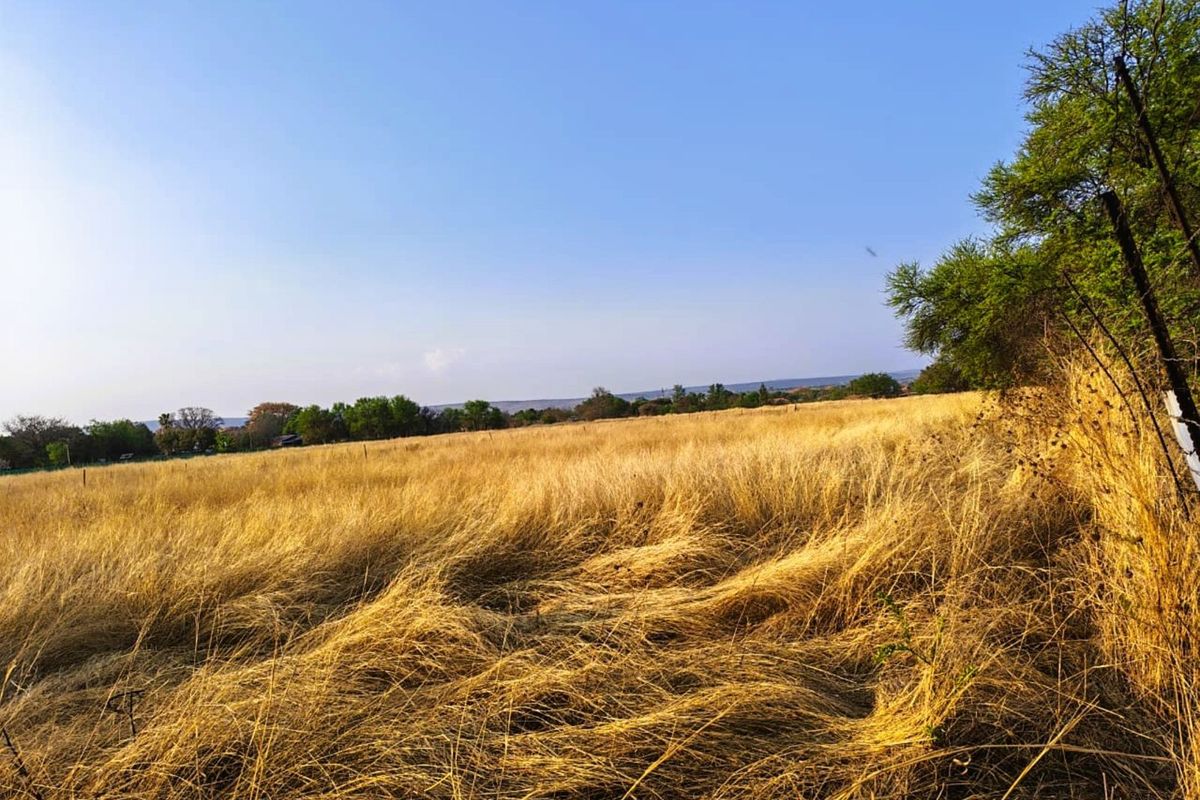 Vacant Land Residential For Sale in Modimolle Central - Photo 5