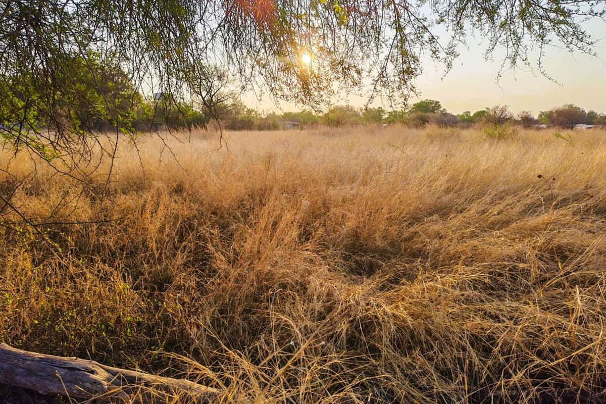 Vacant Land Residential For Sale in Modimolle Central - Photo 5