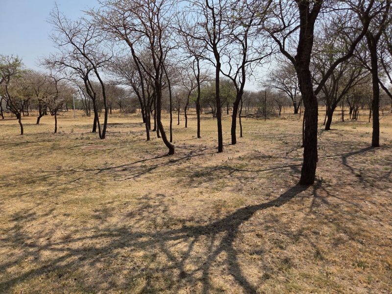 Farm For Sale in Polokwane Rural - Photo 2