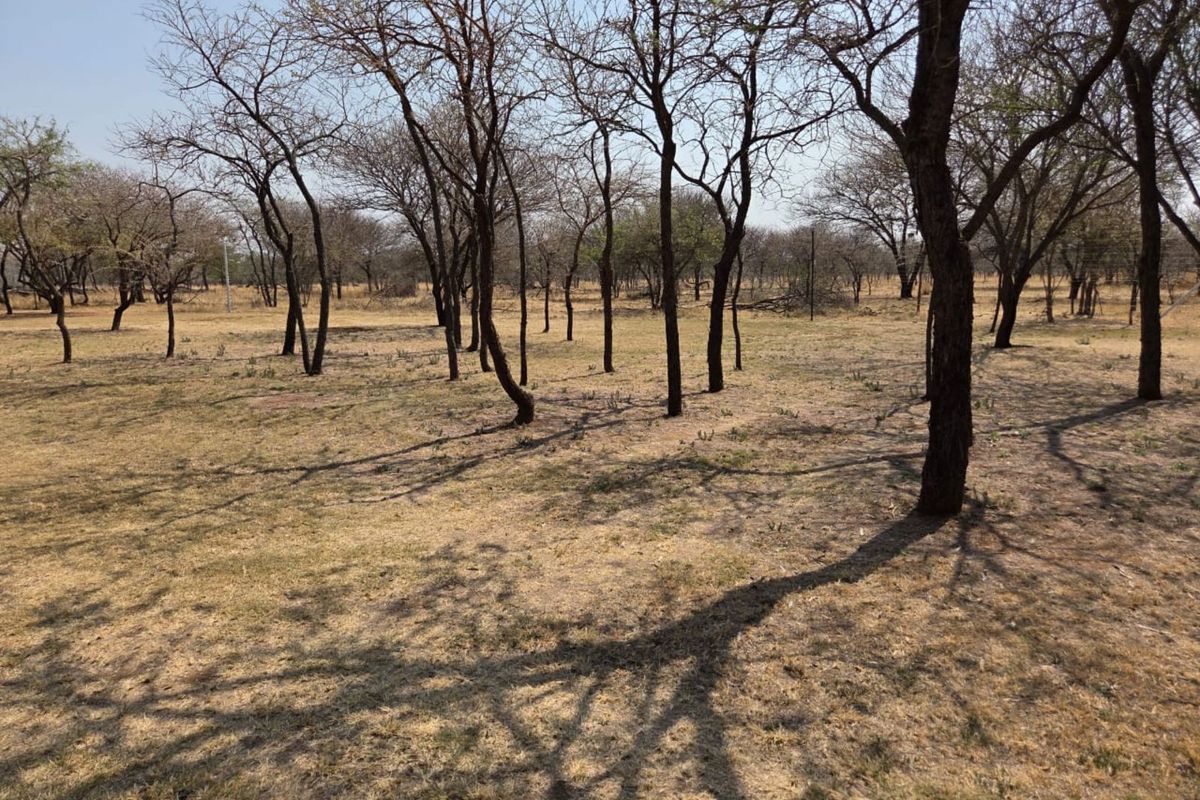 Farm For Sale in Polokwane Rural - Photo 2