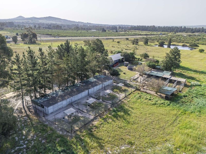 Farm For Sale in Malmesbury Rural - Photo 10