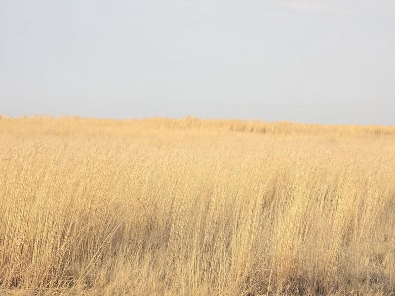 Vacant Land Residential For Sale in Vaal Marina Central - Photo 10