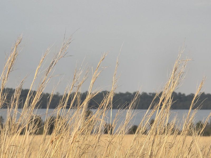 Vacant Land Residential For Sale in Vaal Marina Central - Photo 9