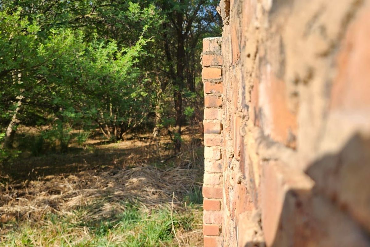 Vacant Land Residential For Sale in The Hills Game Reserve Estate - Photo 5