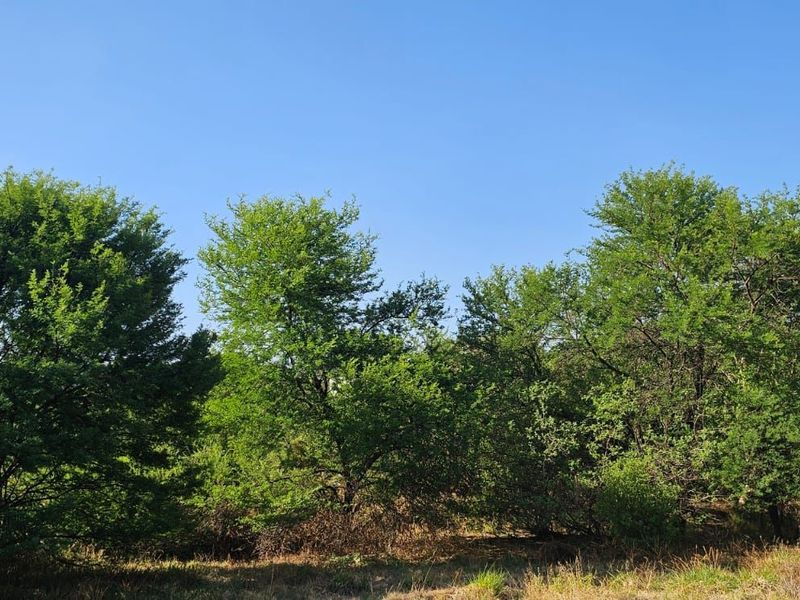 Vacant Land Residential For Sale in The Hills Game Reserve Estate - Photo 10
