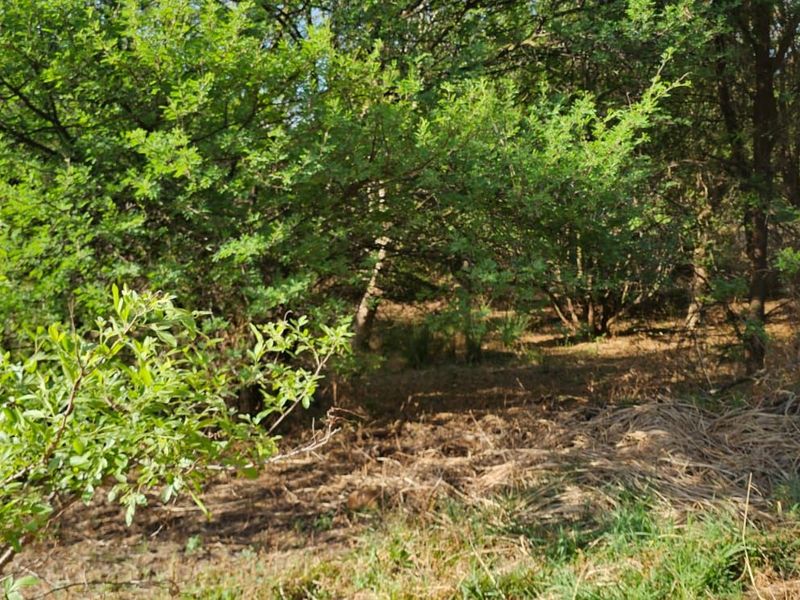 Vacant Land Residential For Sale in The Hills Game Reserve Estate - Photo 4