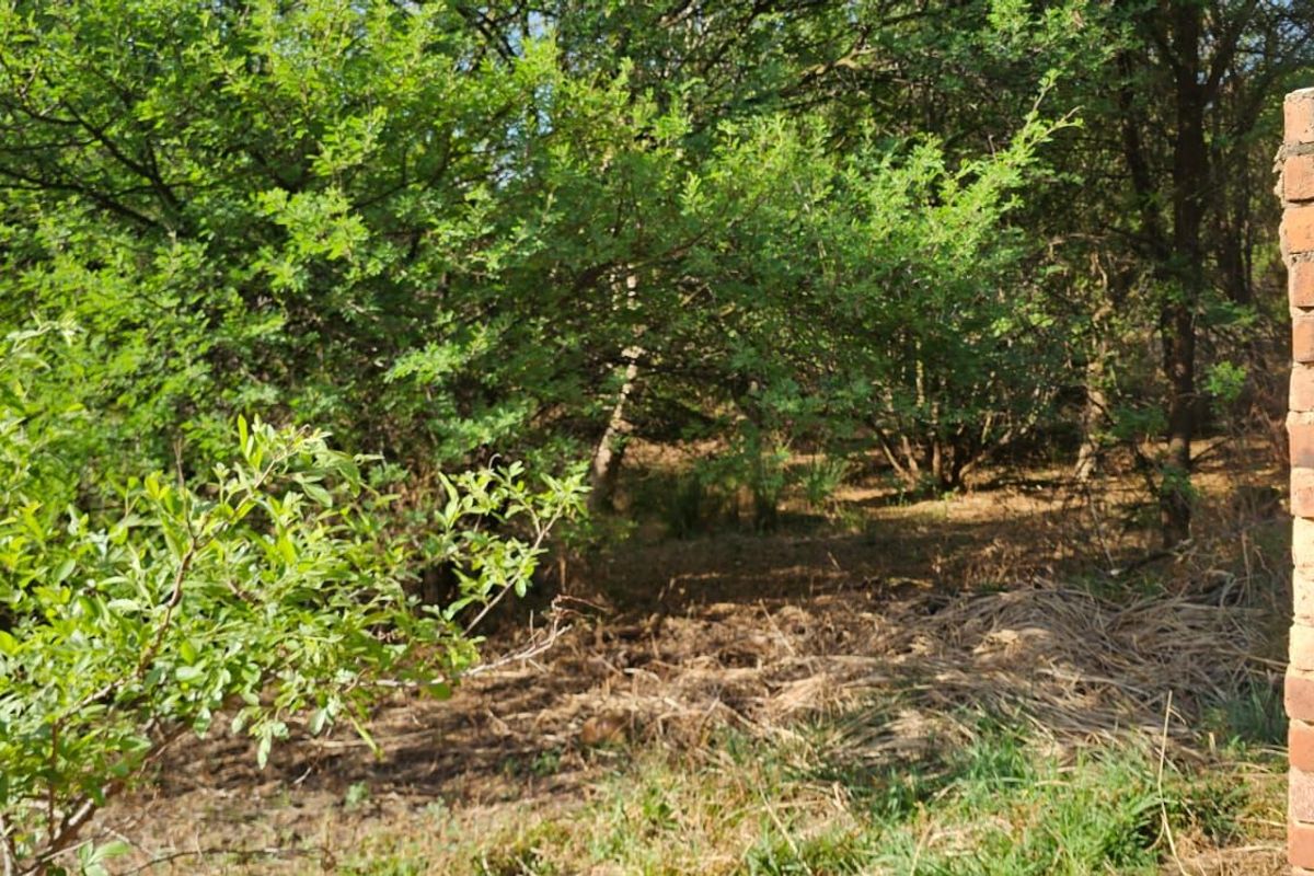 Vacant Land Residential For Sale in The Hills Game Reserve Estate - Photo 4