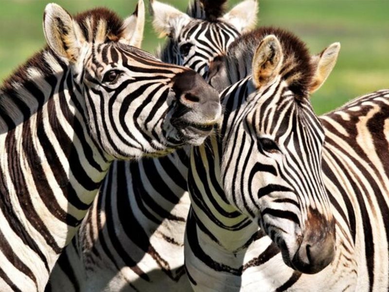 Vacant Land Residential For Sale in Vaal Marina Central - Photo 2