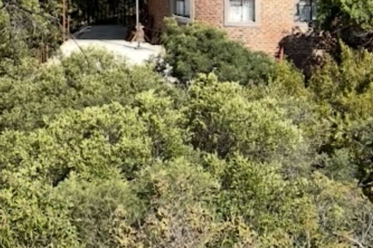 Farm For Sale in Bela Bela Rural - Photo 3