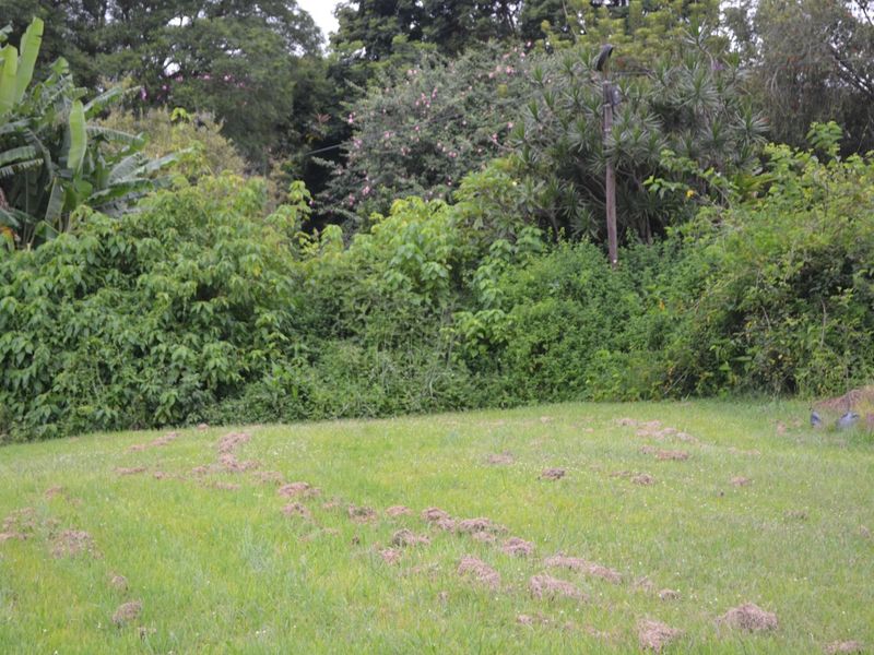 Vacant Land Residential For Sale in Albany - Photo 7