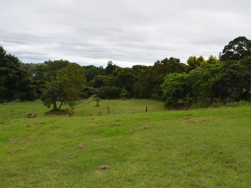 Vacant Land Residential For Sale in Albany - Photo 5