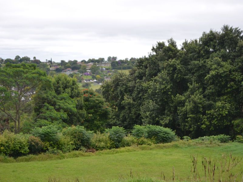 Vacant Land Residential For Sale in Albany - Photo 3