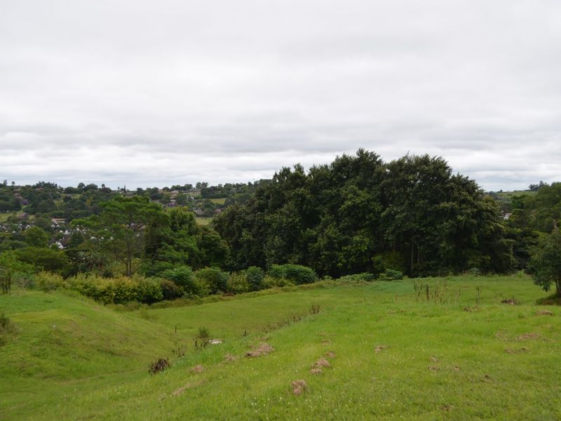 Vacant Land Residential For Sale in Albany - Photo 2