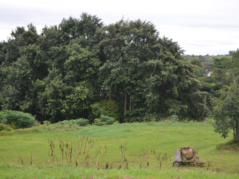 Vacant Land Residential For Sale in Albany - Photo 10