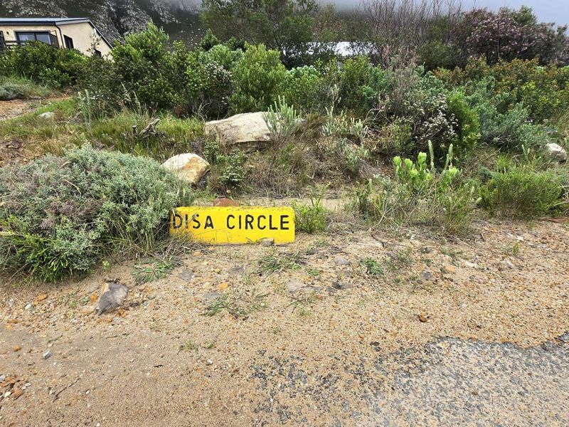 Vacant Land Residential For Sale in Bettys Bay Central - Photo 4