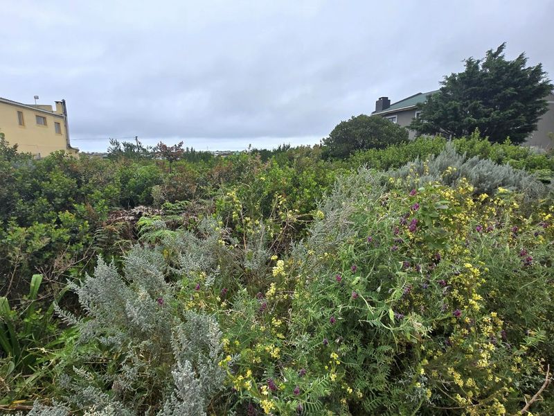 Vacant Land Residential For Sale in Bettys Bay Central - Photo 1