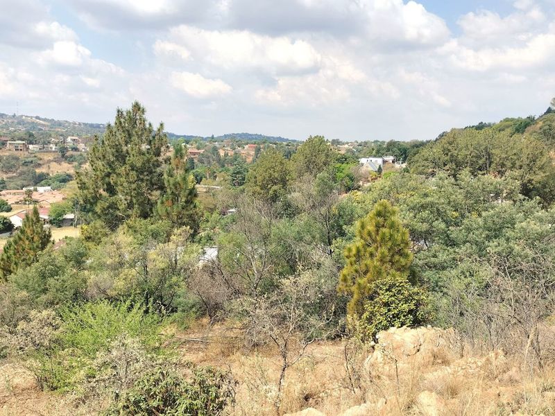 Vacant Land Residential For Sale in Roodekrans - Photo 3