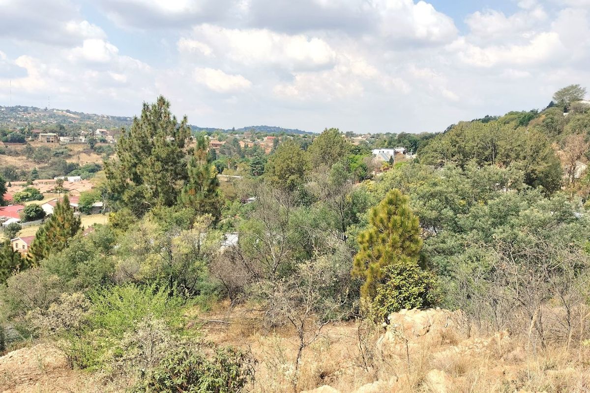 Vacant Land Residential For Sale in Roodekrans - Photo 3