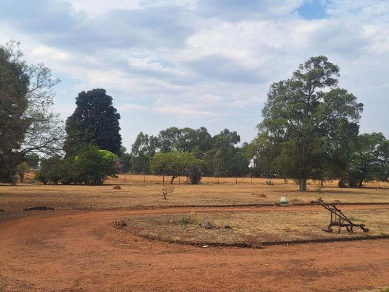 Farm For Sale in Randridge AH - Photo 6